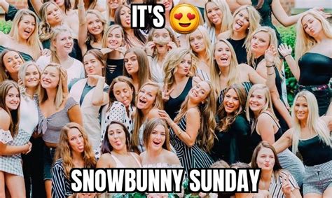 snowbunnies twitter|Snowbunny Hub (@SnowbunnyHub) .